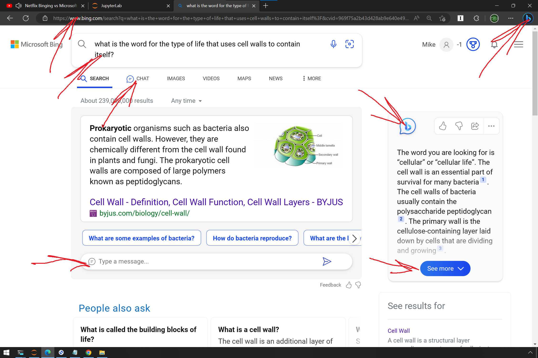Paths Into Bing Chat After Non URL Address Bar Input